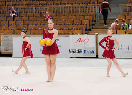 Bleščice 1